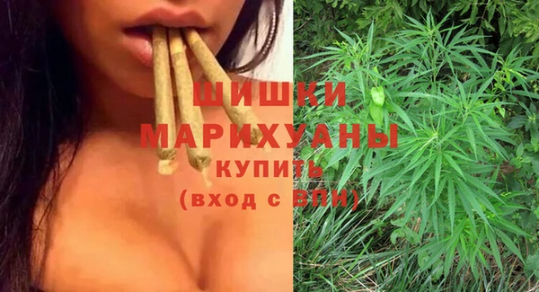 стафф Куйбышев