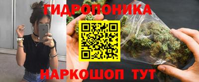 индика Волгодонск