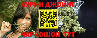 индика Волгодонск