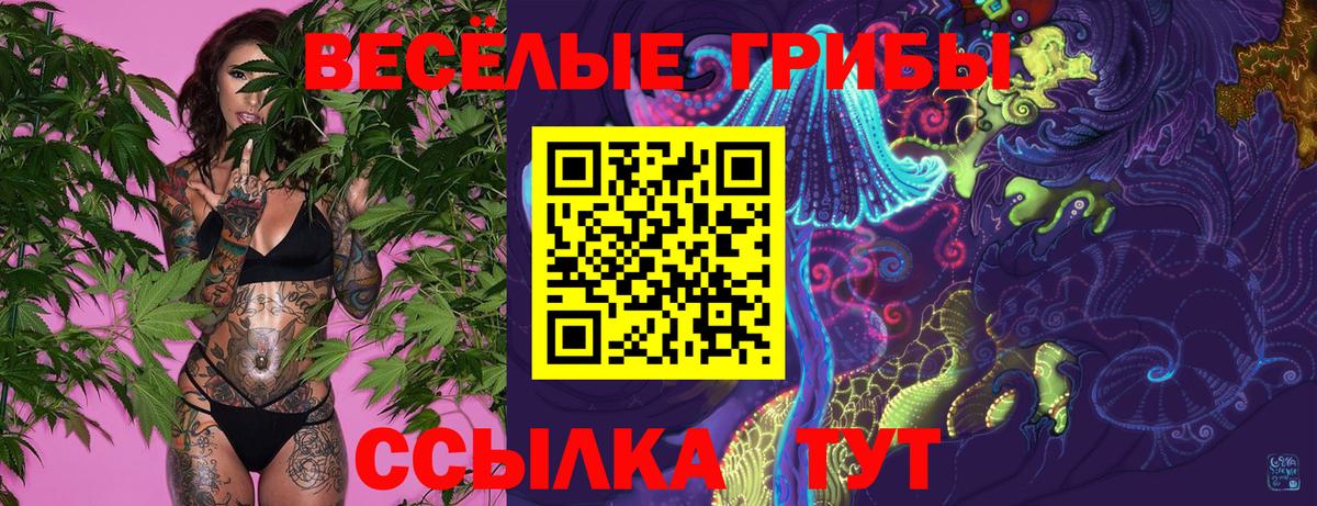 Галлюциногенные грибы Cubensis Сухой Лог